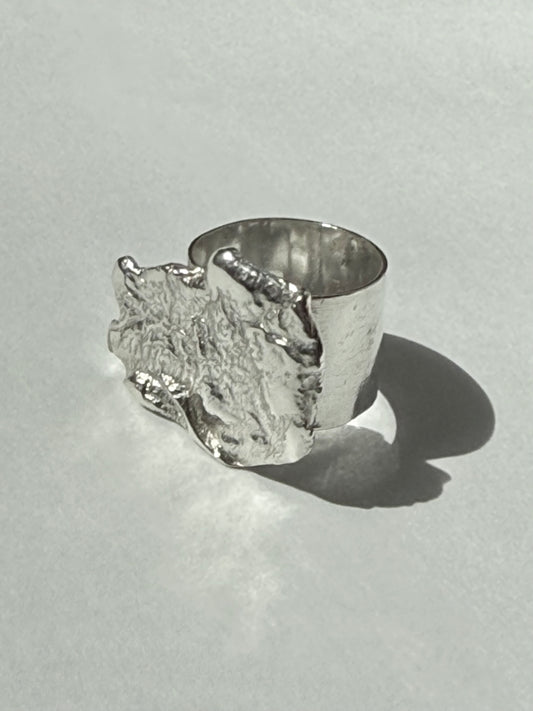Roman Ring